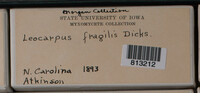Image Associated With the Occurence